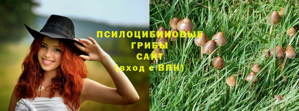 амфетамин Осинники
